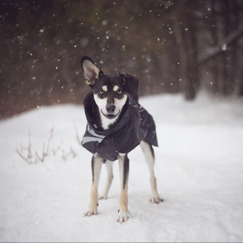 Hurtta Ultimate Warmer Size 16